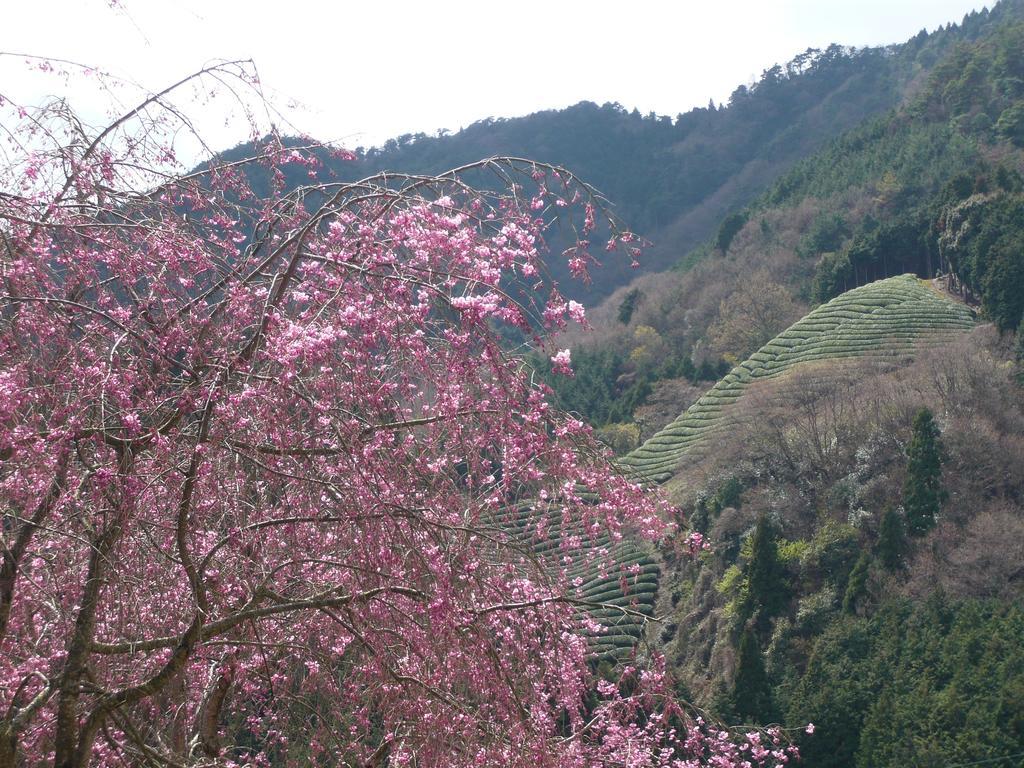 Kyoto Wazukaso Hotel Kizugawa Esterno foto