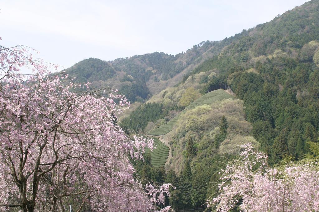 Kyoto Wazukaso Hotel Kizugawa Esterno foto